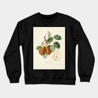 Kitchen, Fruit, Vintage, Typography, Quote, Home, Scandinavian Crewneck Sweatshirt